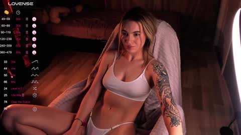 Snapshot of dreamaise chatting on December 13, 10:51 am Mary pvt open use pink and blue app lovense online show from December 13, 10:51 am