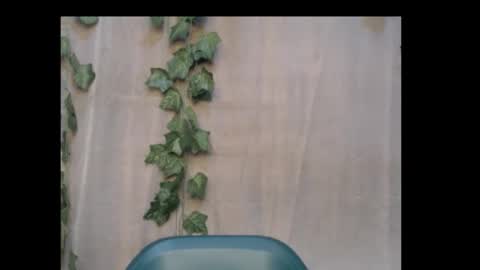 linda online show from October 18, 9:59 pm