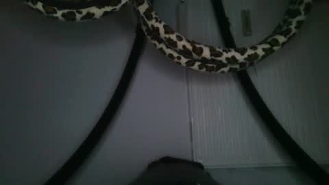 drolyts online show from February 25, 3:05 am