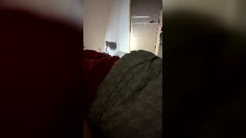 drzinedaj online show from March 8, 2:59 am