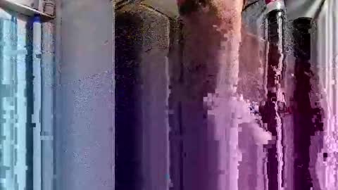 Snapshot of dsmock chatting on October 1, 6:08 am dsmock online show from October 1, 6:08 am