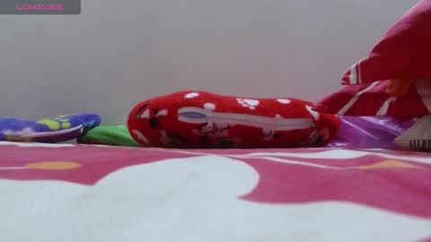 dulce online show from November 24, 2:17 pm