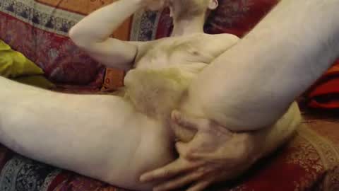 dunant76 online show from March 21, 7:13 am