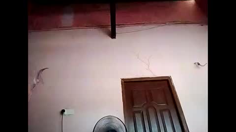 duskytamilkarthik online show from May 16, 5:15 am