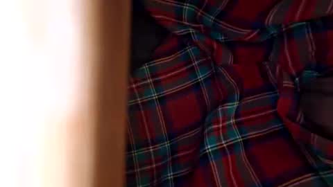 dVe1oPe online show from November 8, 11:10 am