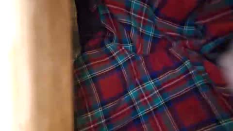 dVe1oPe online show from March 21, 9:25 am