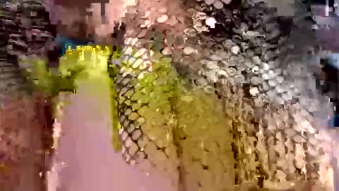 Snapshot of dwadek081704 chatting on September 19, 11:33 am dwadek081704 online show from September 19, 11:33 am