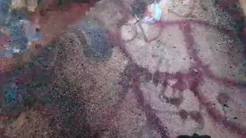 Snapshot of dwadek081704 chatting on November 2, 2:52 pm dwadek081704 online show from November 2, 2:52 pm