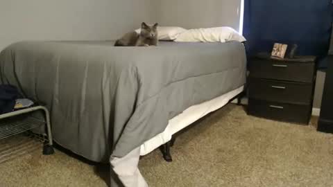 Snapshot of dwhitey4u chatting on December 31, 8:02 pm dwhitey4u online show from December 31, 8:02 pm