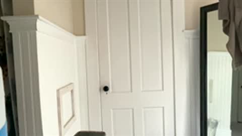 Snapshot of dynasty313 chatting on December 17, 6:25 pm Dynasty online show from December 17, 6:25 pm