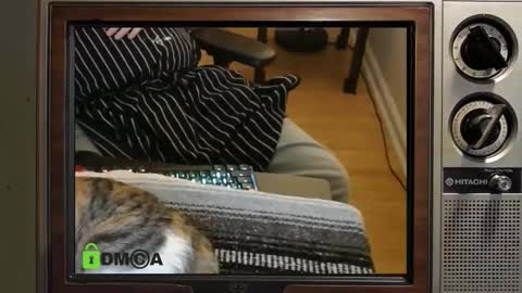 e8849c online show from November 8, 11:03 pm