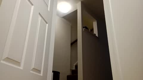 Snapshot of easternjerk chatting on December 16, 11:04 am easternjerk online show from December 16, 11:04 am