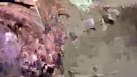 Easye online show from January 26, 7:41 pm