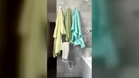 French Guy online show from April 15, 10:44 am