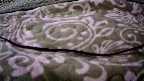 eatermo online show from April 18, 7:34 am