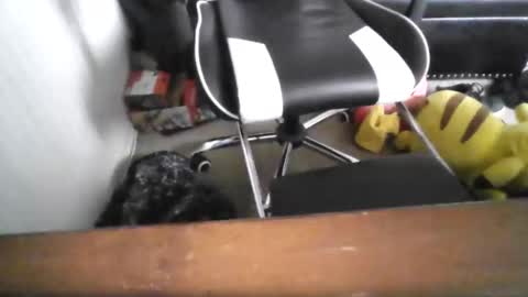 eddy815 online show from November 24, 10:53 pm