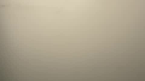 Eddy online show from February 12, 3:01 am