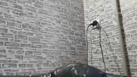 edithmanning online show from February 10, 12:29 pm