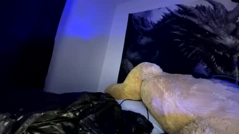 Snapshot of edvmendez1766 chatting on September 23, 10:07 am edvmendez1766 online show from September 23, 10:07 am