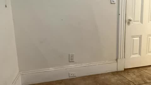 Snapshot of edvmendez1766 chatting on November 18, 3:23 am edvmendez1766 online show from November 18, 3:23 am