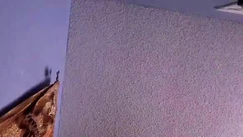 Santos online show from February 7, 12:53 am