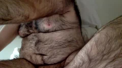 elabear online show from December 23, 3:33 pm