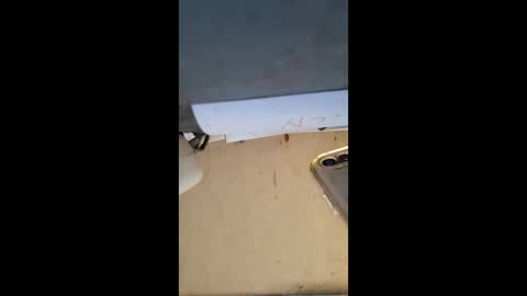 Snapshot of elaine33mae chatting on March 3, 6:41 am elaine33mae online show from March 3, 6:41 am