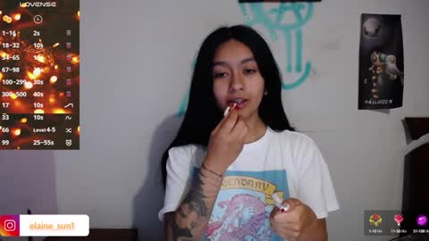 Snapshot of elaine_sun chatting on December 11, 2:19 am Elaine eli online show from December 11, 2:19 am