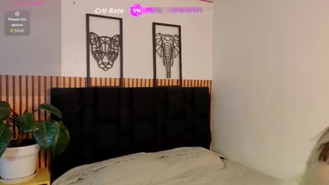 Elecktra online show from November 20, 8:08 pm