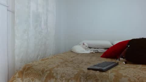 elektra online show from October 30, 4:08 pm