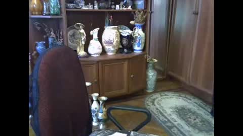 ElenaZed online show from March 18, 9:01 am