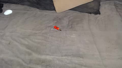 elgsslt online show from March 11, 12:22 pm