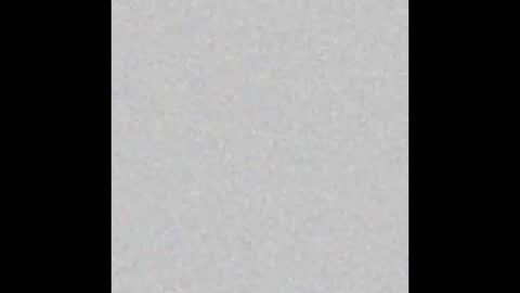 Snapshot of eligraysonx chatting on December 22, 12:51 am Eli Grayson online show from December 22, 12:51 am