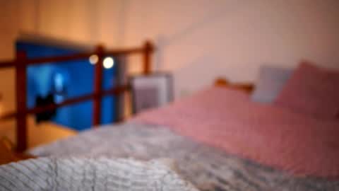 Sunflower  online show from January 16, 3:16 pm