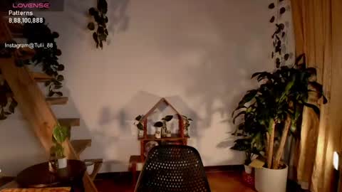 Tuli online show from June 22, 1:07 am