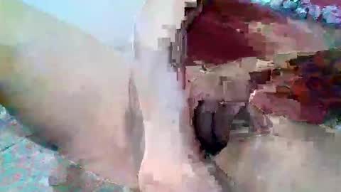 Snapshot of elmario24 chatting on December 1, 6:29 am elmario24 online show from December 1, 6:29 am