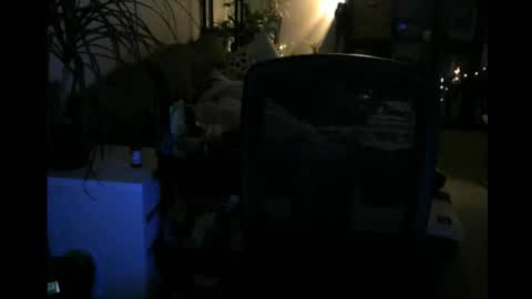 ElMetaTeDa online show from March 9, 2:48 am