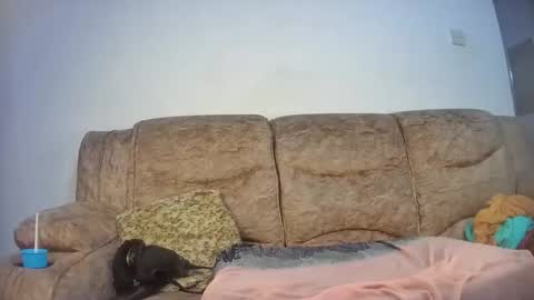 Snapshot of elsie02 chatting on November 18, 6:56 pm elsie02 online show from November 18, 6:56 pm