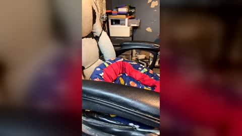 elvergg1 online show from April 4, 1:37 am