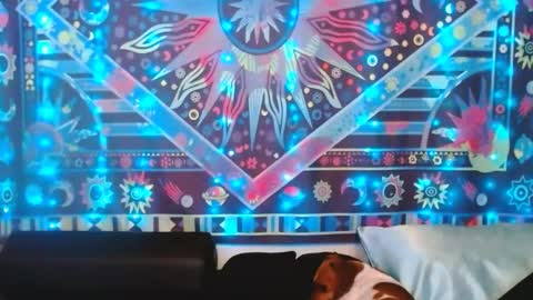 Ember Starleena online show from February 24, 5:31 pm