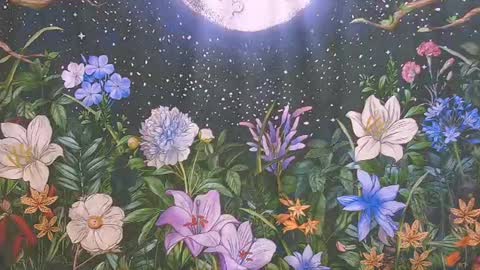 Ember Starleena online show from July 24, 2:37 pm