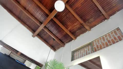 Emily  online show from April 17, 11:02 am