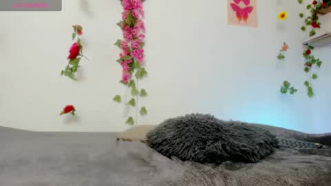 Emily  online show from February 6, 6:35 pm