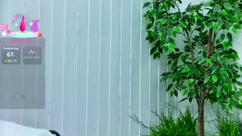 Emily online show from January 14, 7:52 pm