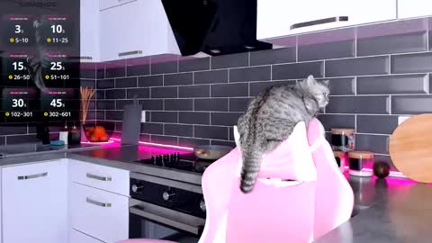 Shaiya online show from February 28, 12:10 am