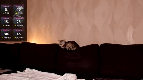 Shaiya online show from March 2, 8:29 pm