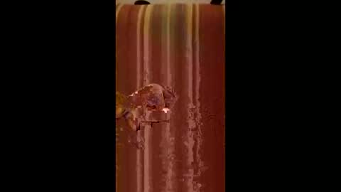 Snapshot of enricoital chatting on December 15, 7:01 am enricoital online show from December 15, 7:01 am