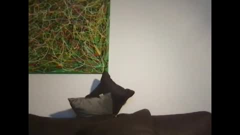 Snapshot of erik_69_69 chatting on October 18, 5:14 pm erik_69_69 online show from October 18, 5:14 pm