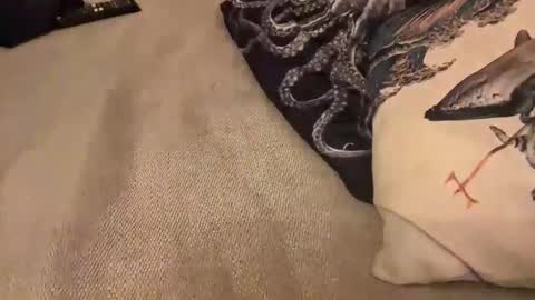 erosforcouples online show from October 30, 11:27 pm