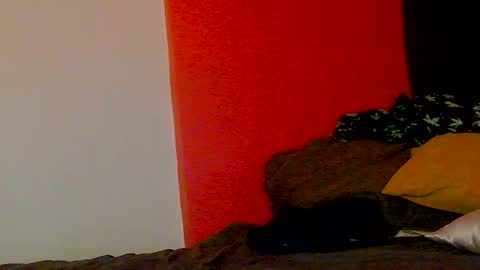 Nikki Erotica online show from February 20, 10:16 am